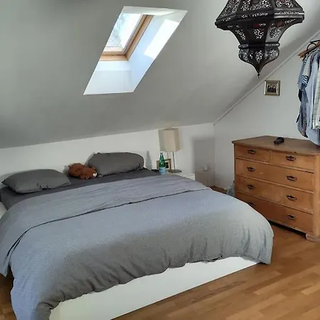 Haus Im Gruenen An Der Aare Holiday home Bern